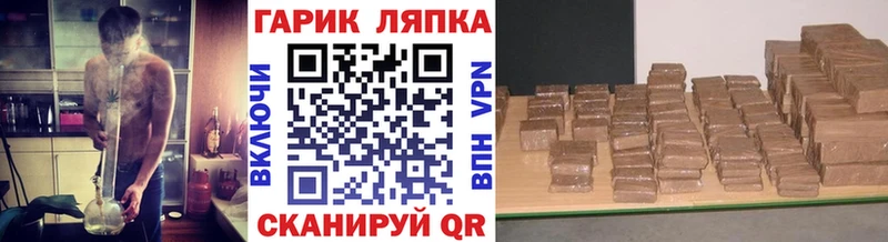 Купить где  Динская  ГАШ Premium 