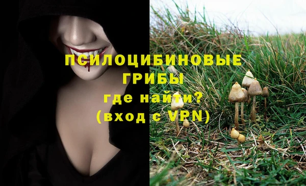 спайс Протвино