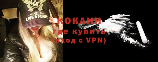 прущие грибы Пролетарск