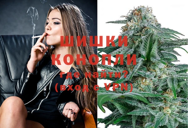 прущие грибы Пролетарск