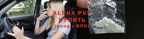 прущие грибы Пролетарск