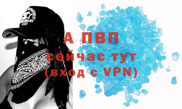 прущие грибы Пролетарск