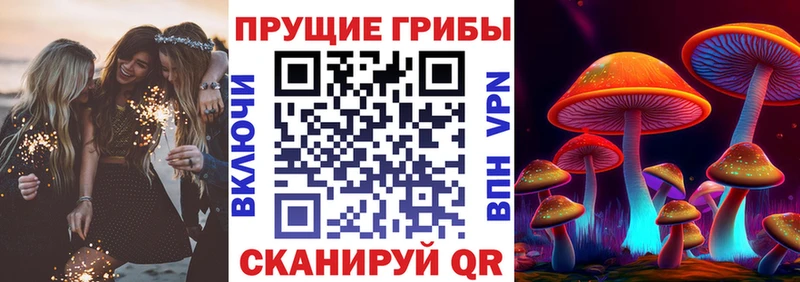 Купить закладки  Динская  Псилоцибиновые грибы ЛСД 